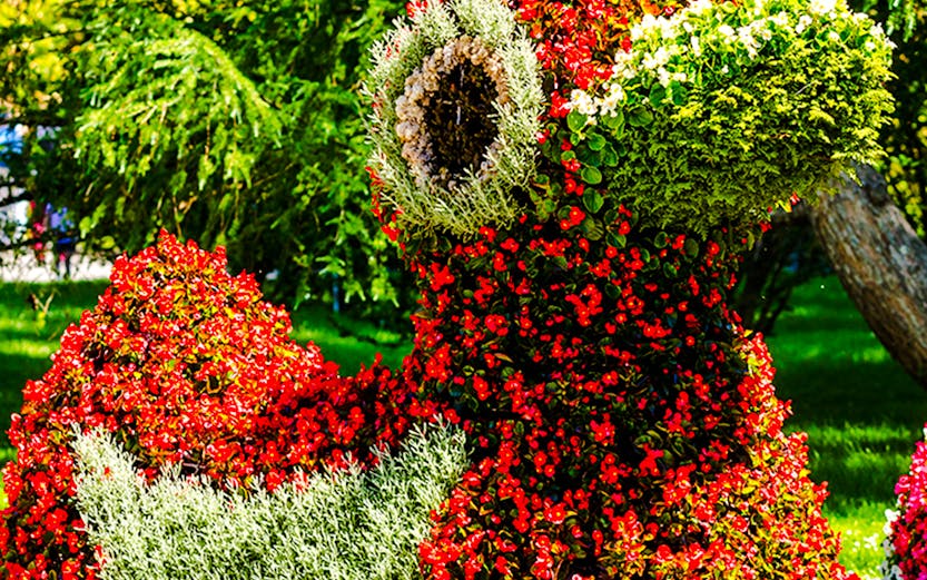 Floral sun sculpture and colorful flower beds at Mainau Flower Island.